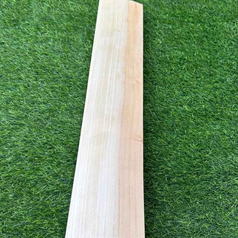 Grade 1 Plain Cricket Bat