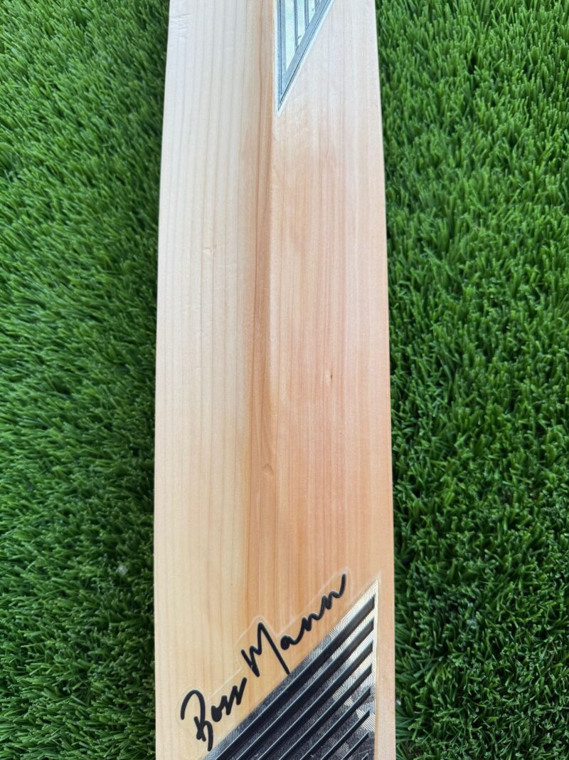 BM Grade 1 cricket bat