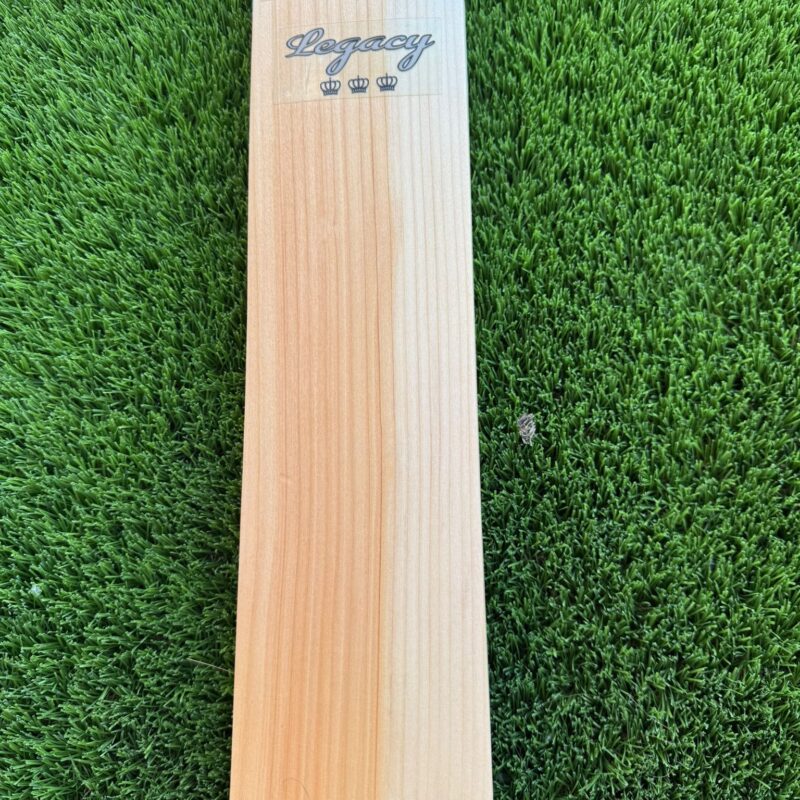 BM grade 1 Cricket bat