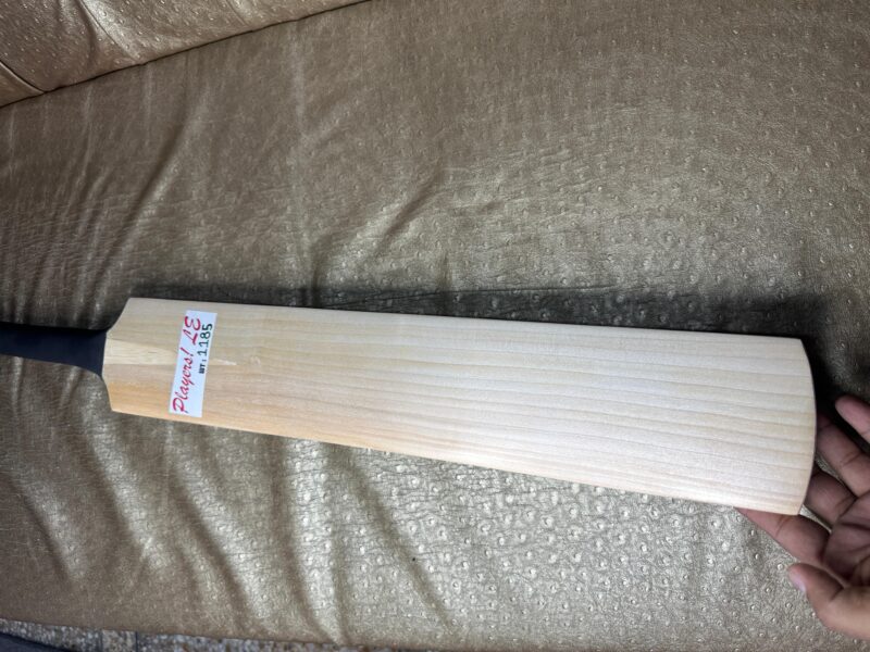 grade 1 plain bat