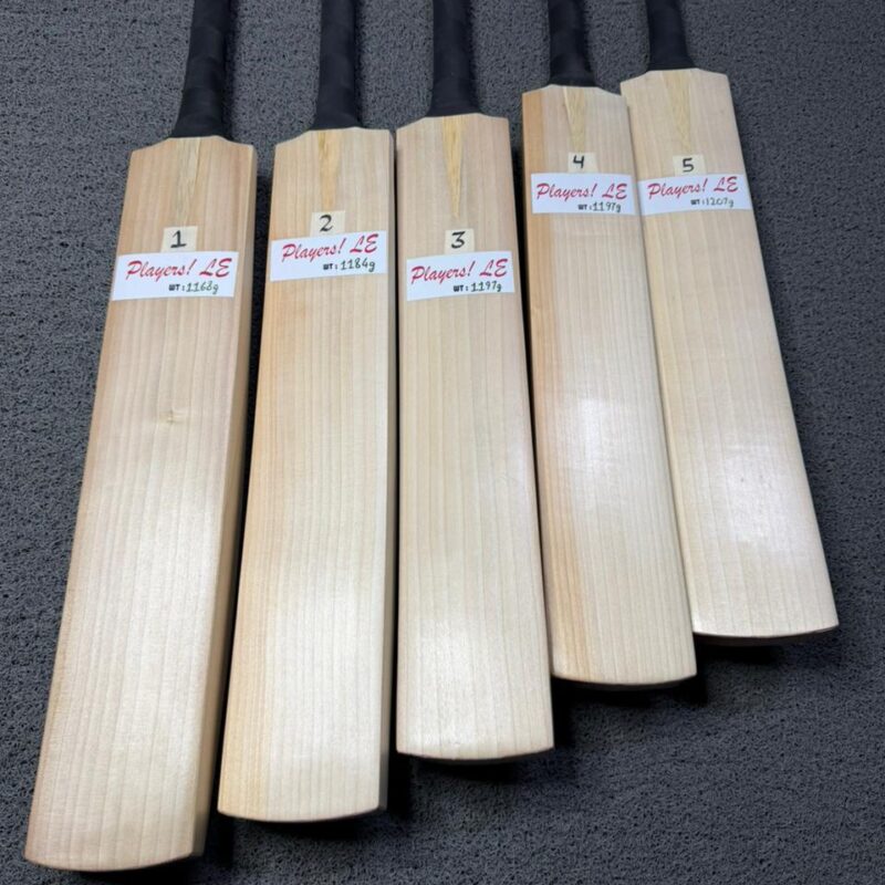 plain cricket bat