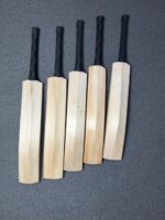 plain cricket bat