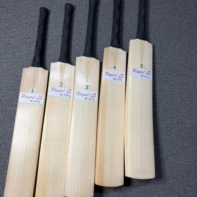 plain cricket bat