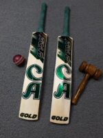 CA Gold 15000 Cricket Bat