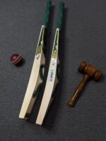 CA Gold 15000 Cricket Bat