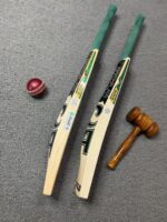 CA Gold 15000 Cricket Bat