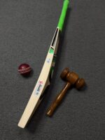 CA Pro 15000 Cricket Bat