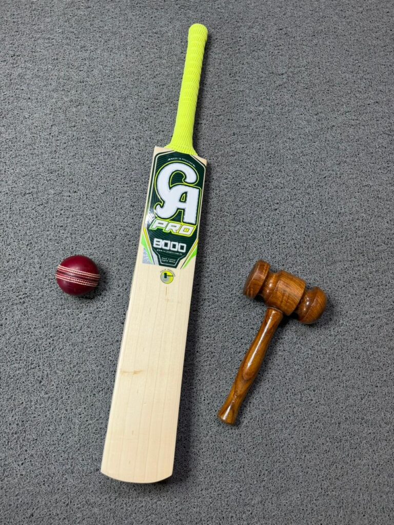 CA Pro 8000 Cricket Bat