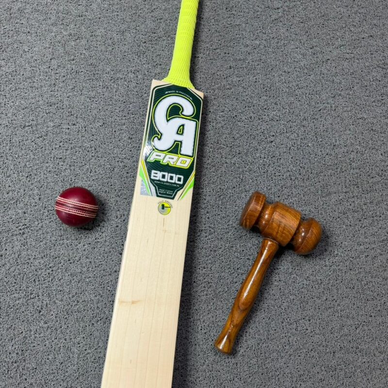 CA Pro 8000 Cricket Bat