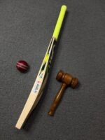 CA Pro 8000 Cricket Bat