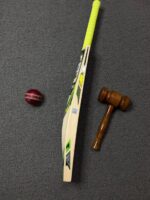 CA Pro 8000 Cricket Bat