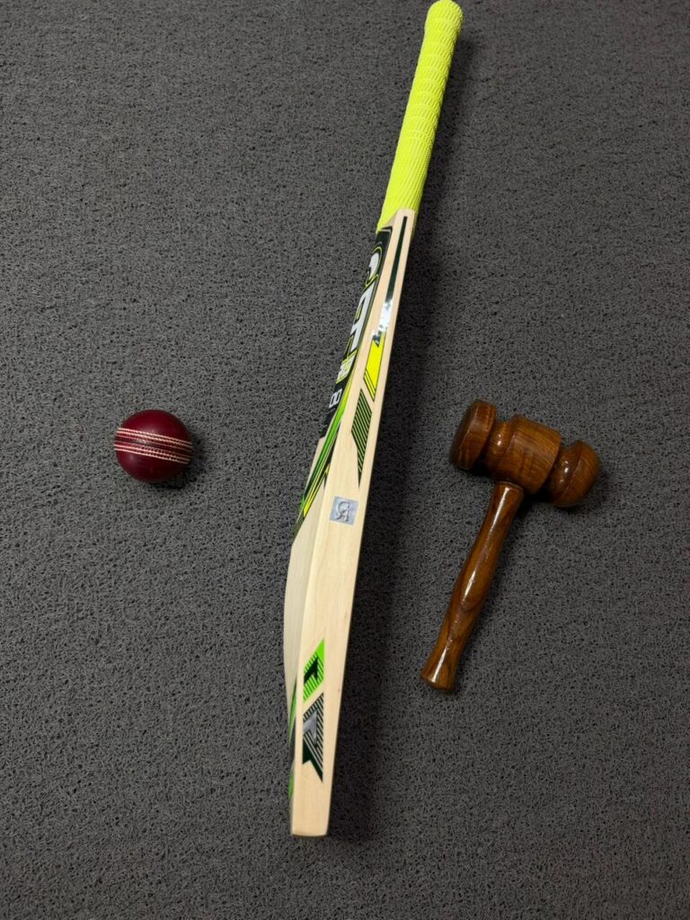 CA Pro 8000 Cricket Bat