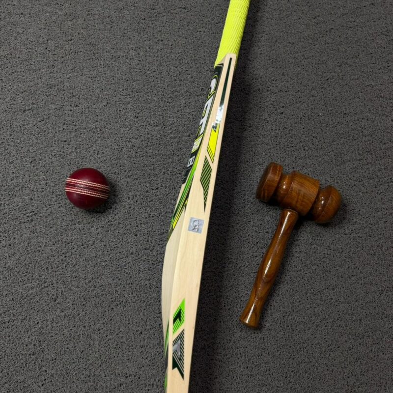 CA Pro 8000 Cricket Bat
