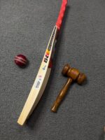 CA Pro 8K Cricket Bat
