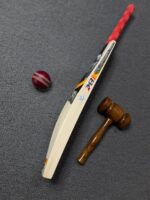 CA Pro 8K Cricket Bat