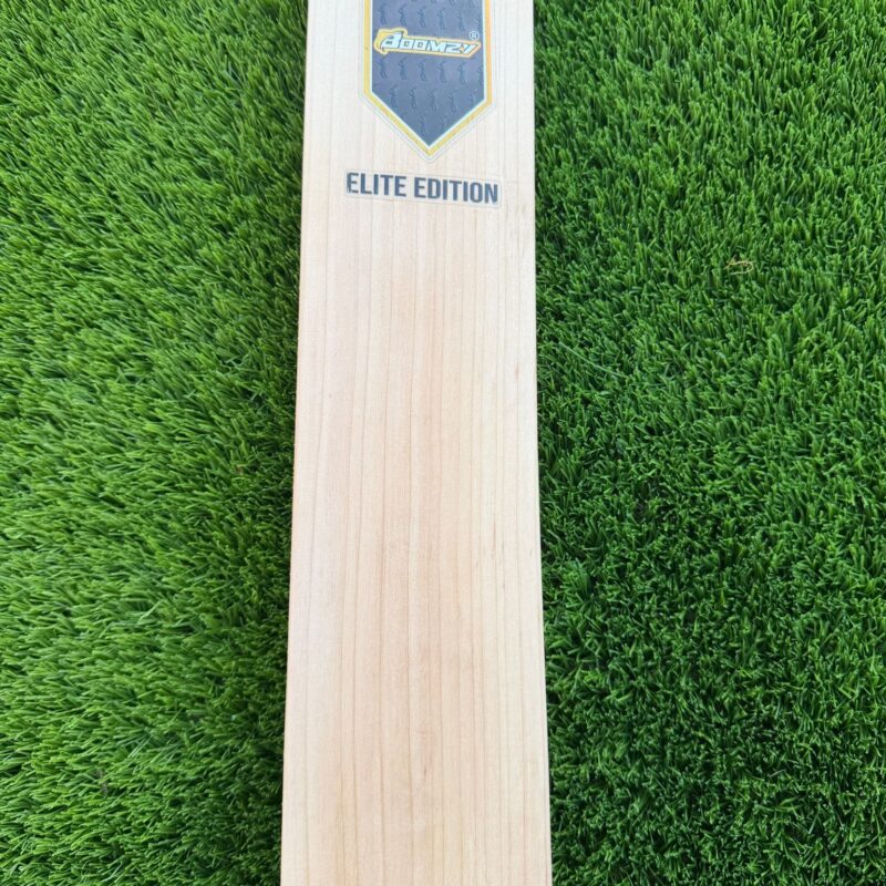 BM Cricket Bat